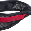 Scott Strap S-lite -Scott 2462071040200