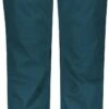 Scott Pant W's Ultimate Dryo -Scott pant w s ultimate dryo 23 2777215303005