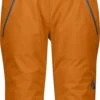 Scott Pant W's Ultimate GTX -Scott pant w s ultimate gtx 23 2725286647006